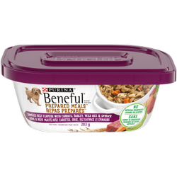 Beneful healthy puppy review online