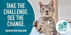 take the challenge. see the change