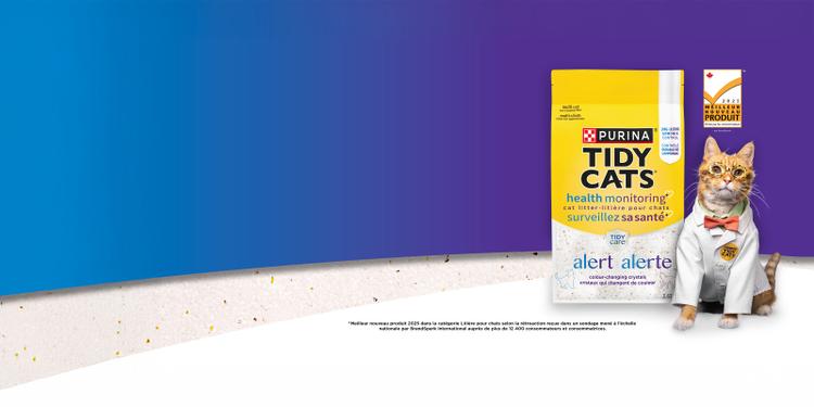 tidy cats chat avec tidy cats litiere