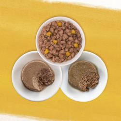 00055800376596_OPS_Tile-5