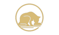 cat icon