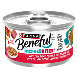 Beneful® IncrediBITES® in Sauce with Real Beef Dog Food