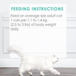 Feeding Recommendations