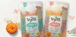 beyond puppy and kitten food