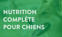 Nutrition Complète Pour Chiens