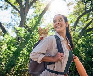 cat in a bag behind its owner