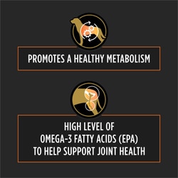 OM Metabolic Response Plus Joint Mobility Dry Dog Food Formula - Benefits