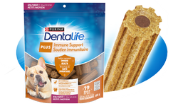 dentalife plus