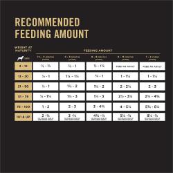 Recommended feeding amount