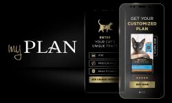 myplan img