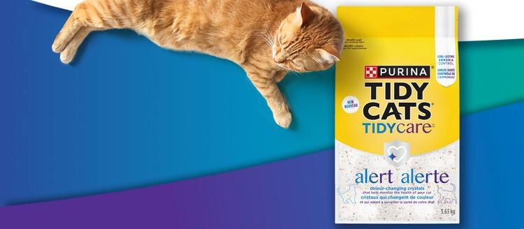 tidy cats alert