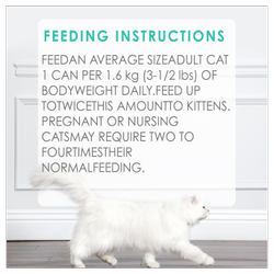 Feeding Recommendations