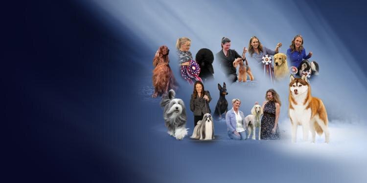 Canada’s Top 10 Show Dogs