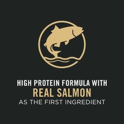 Real salmon as the first ingredient
