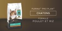 Purina Pro Plan Chatons