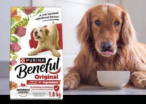 chien avec le sac de beneful incredibites