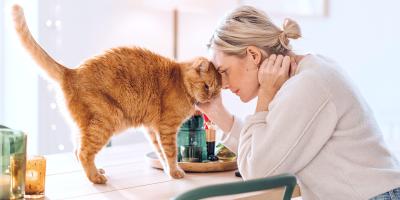 Femme assise à une table devant un chat orange