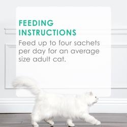 Feeding Recommendations