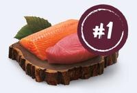 salmon and tuna #1