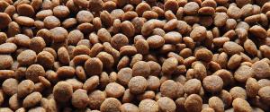 Kibble