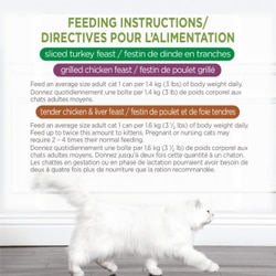 Directives Pour L'alimentation