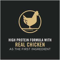 Real chicken as the first ingredient