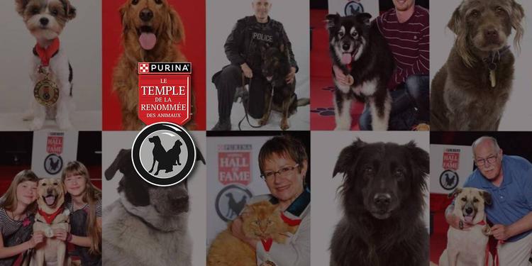 Le Temple de la renommée des animaux Purina