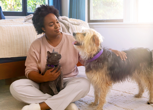 woman petting a dog and a cat