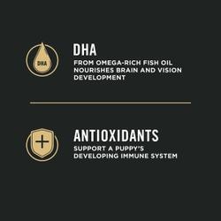 DHA and antioxidants