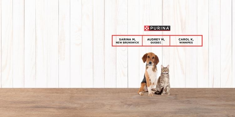 congratulations to Sarina M, Audrey M, and Carol K for winning our contest!