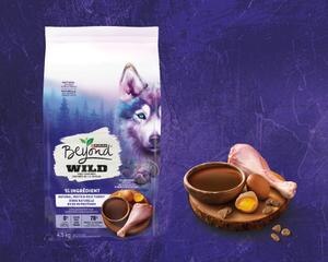 With High Protein Bone Broth
