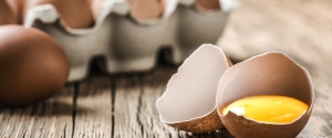 Oeufs dans un carton
