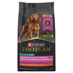 Dog salmon allergy hot sale