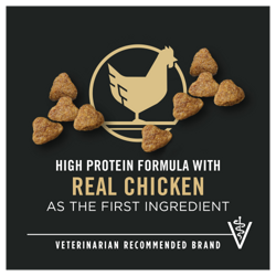 Real chicken as the first ingredient