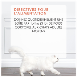 Directives Pour L'alimentation