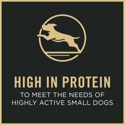 High in Protein
