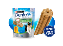 Gâteries Pour Chiens pour les Soins Buccodentaires Quotidiens DentaLife