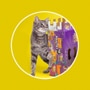 Canalot cat game