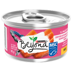 Beyond Recette de Saumon Sauvage Pâté Nourriture pour Chats