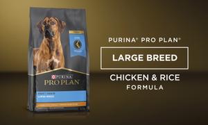 Product Large breed Chicken & Rice Formula