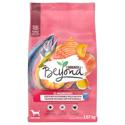 Beyond® Superfood Blend Salmon, Egg & Pumpkin Recipe Dry Dog Food