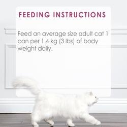 Feeding Recommendations