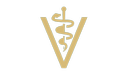 gold vet icon