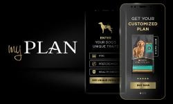 myplan-puppy