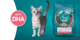 Support Their Brain Development with DHA
