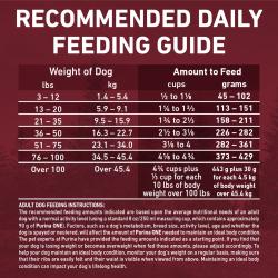Daily Feeding Guide