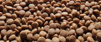 kibble