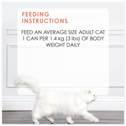 Feeding Recommendations