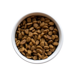 Kibble Image