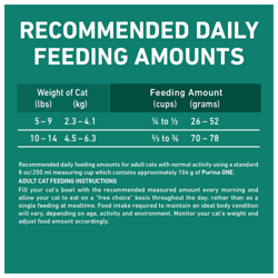 Feeding Amounts